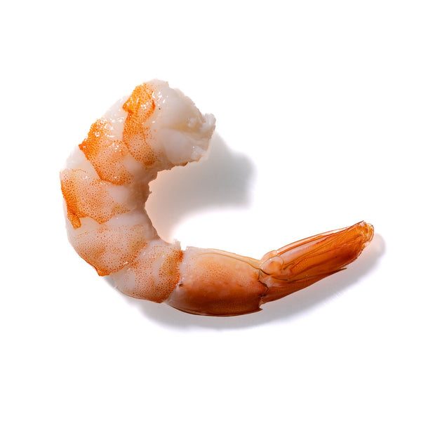 Shrimp No. 28