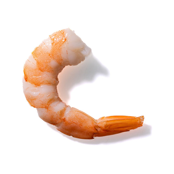 Shrimp No. 29