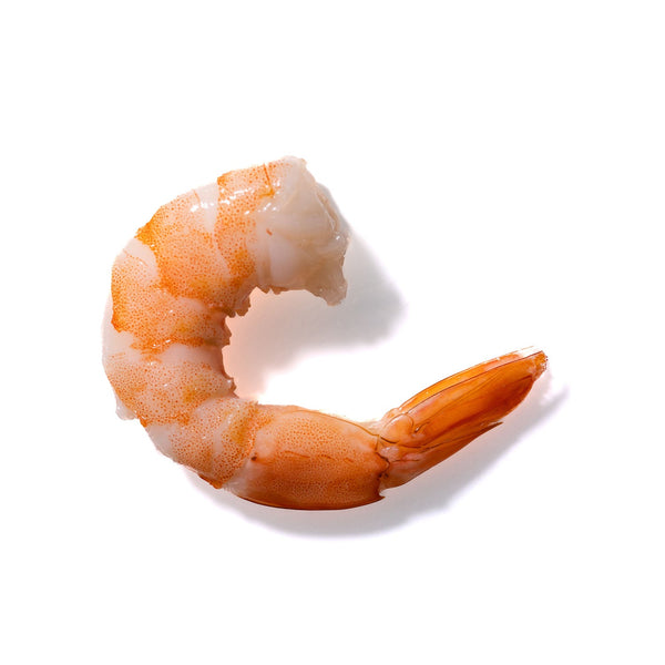 Shrimp No. 30