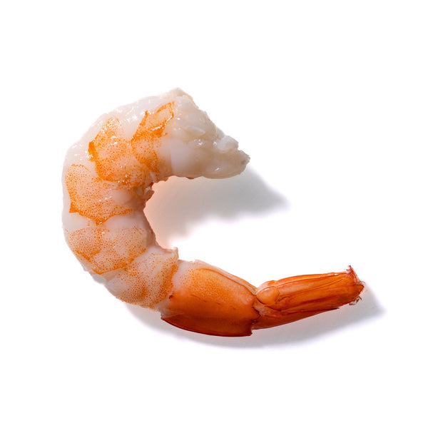 Shrimp No. 33