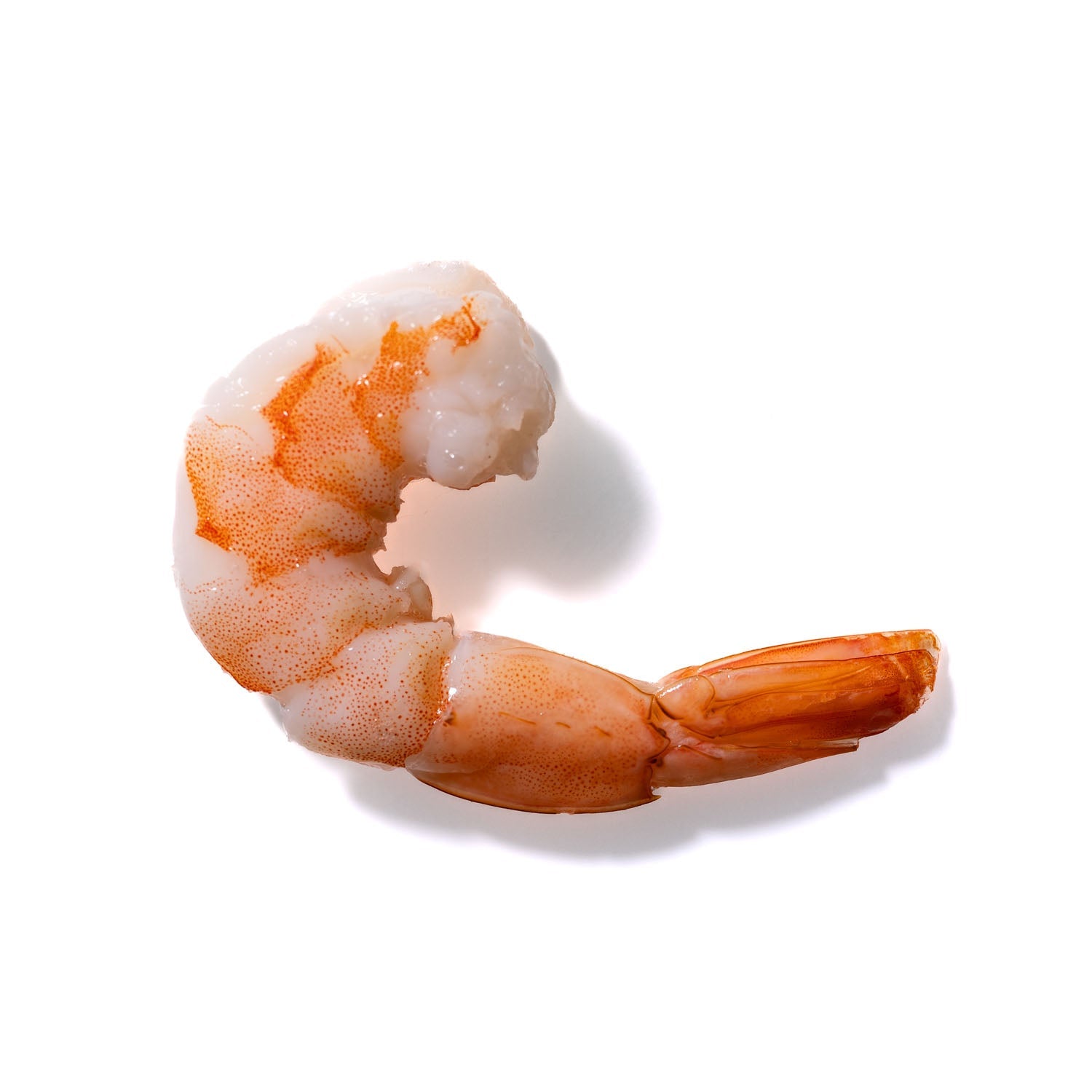 Shrimp No. 34