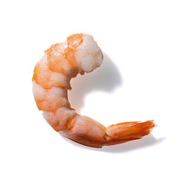 Shrimp No. 35