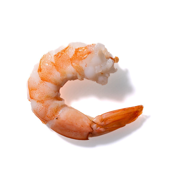 Shrimp No. 39