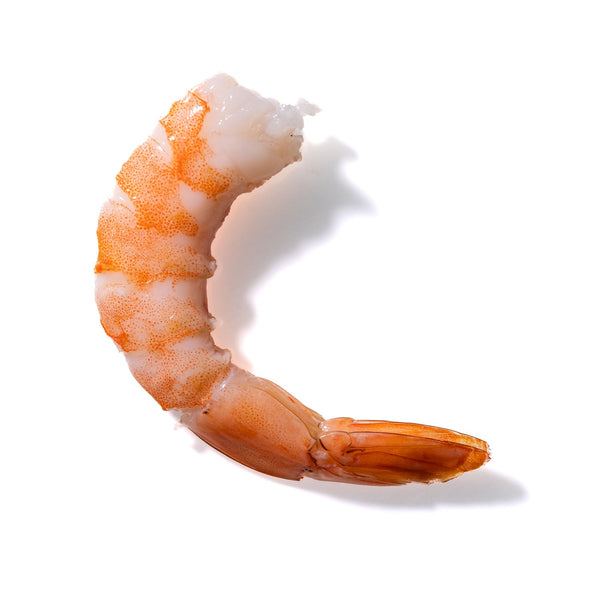 Shrimp No. 41