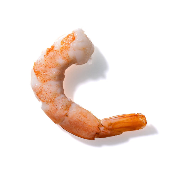 Shrimp No. 44