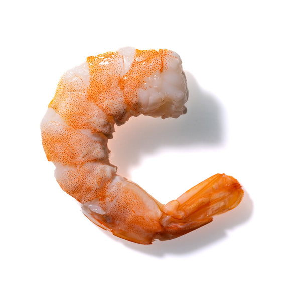 Shrimp No. 47