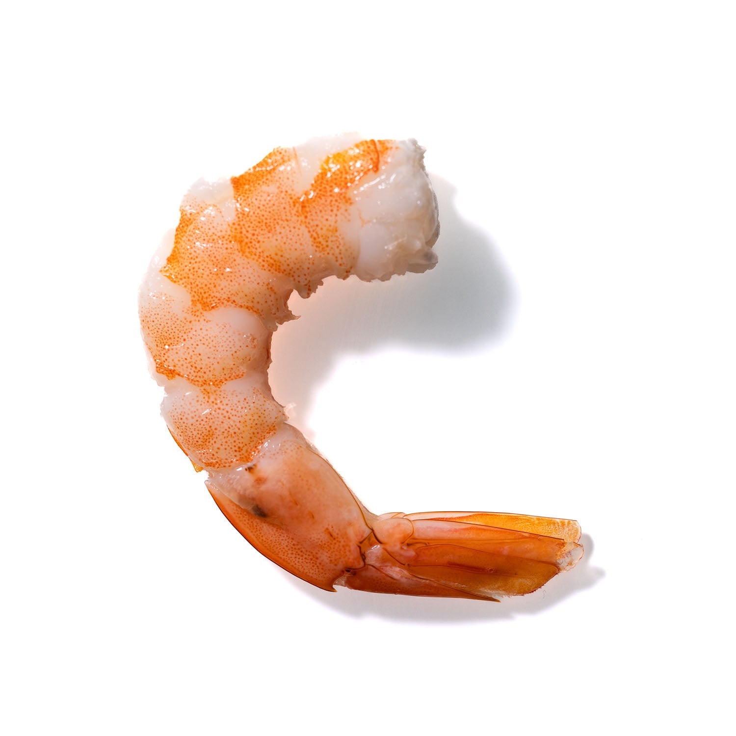 Shrimp No. 71