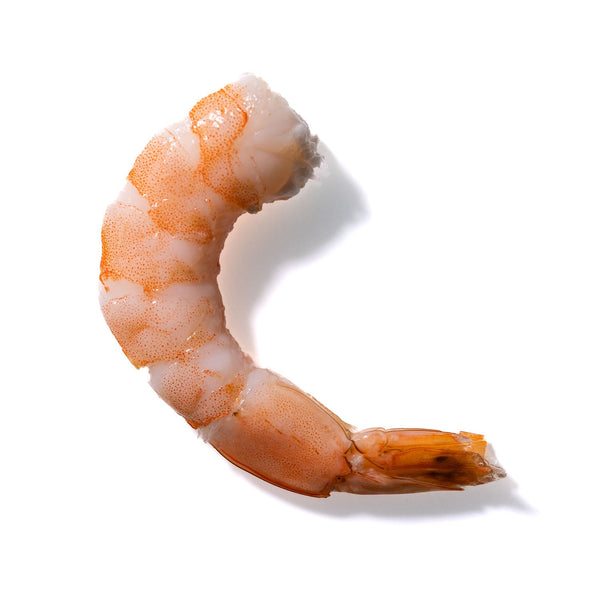 Shrimp No. 72