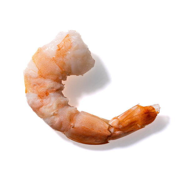 Shrimp No. 73