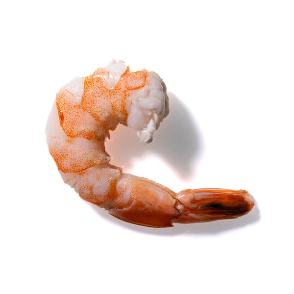 Shrimp No. 74