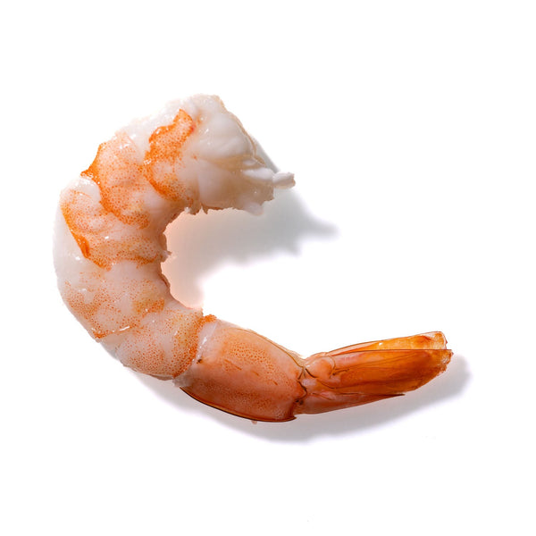 Shrimp No. 77