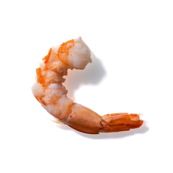 Shrimp No. 82