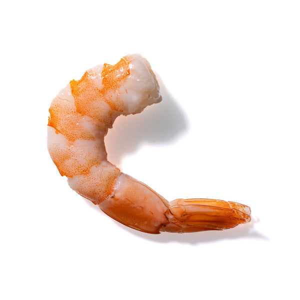 Shrimp No. 83