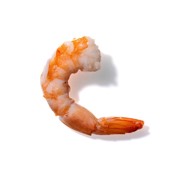 Shrimp No. 93