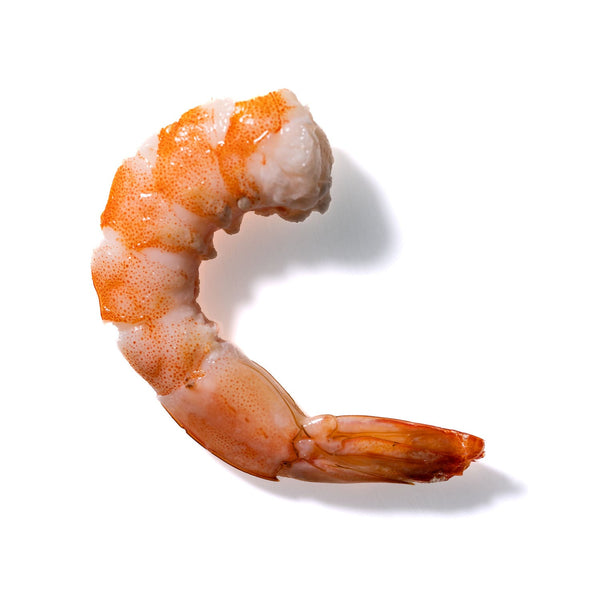 Shrimp No. 102