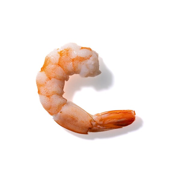 Shrimp No. 106