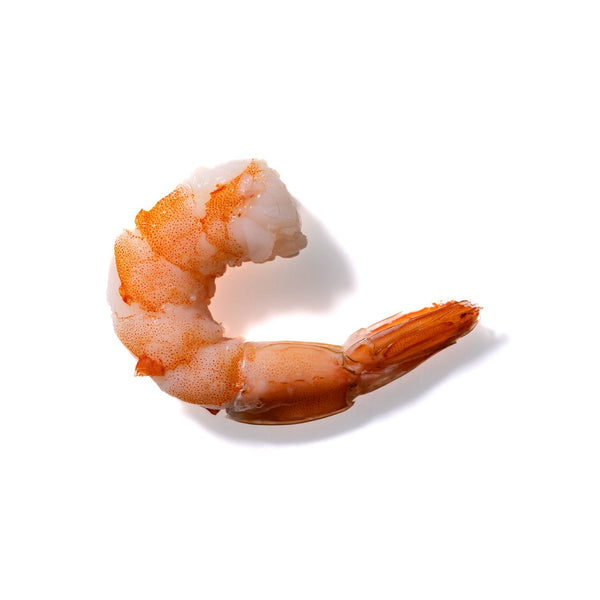 Shrimp No. 107