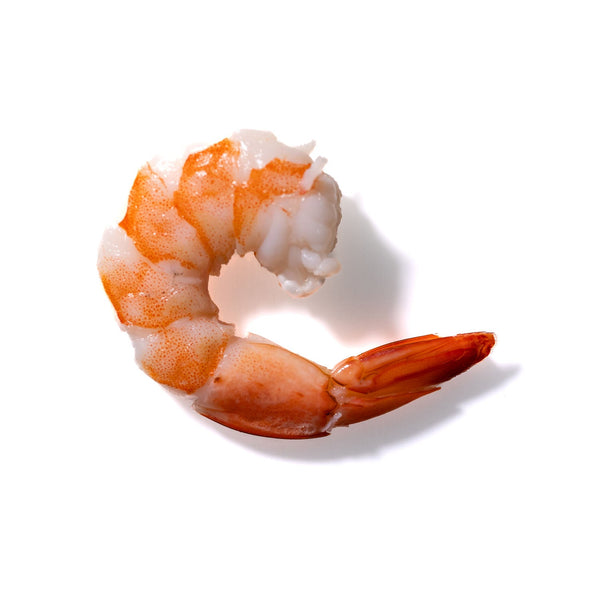 Shrimp No. 109