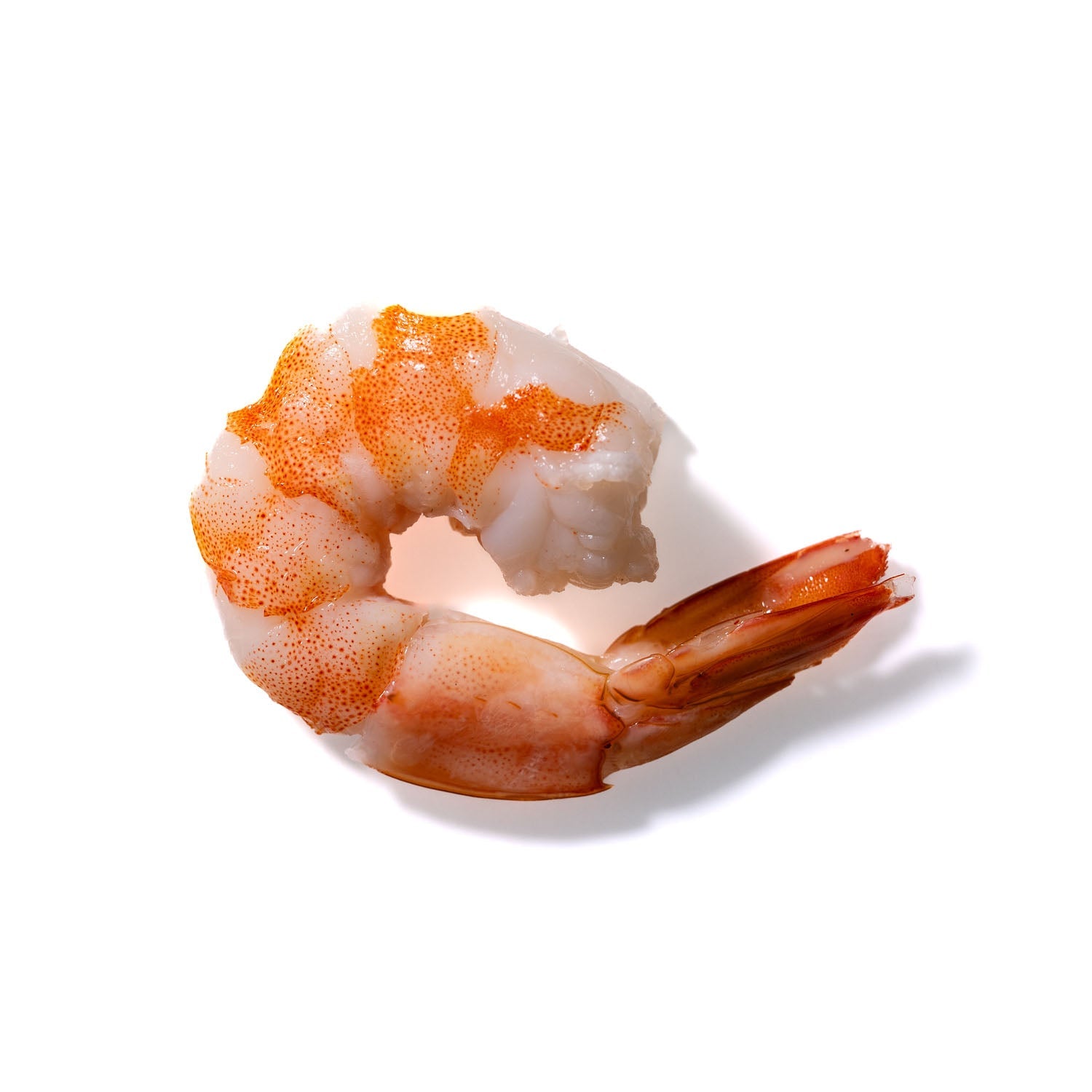 Shrimp No. 112