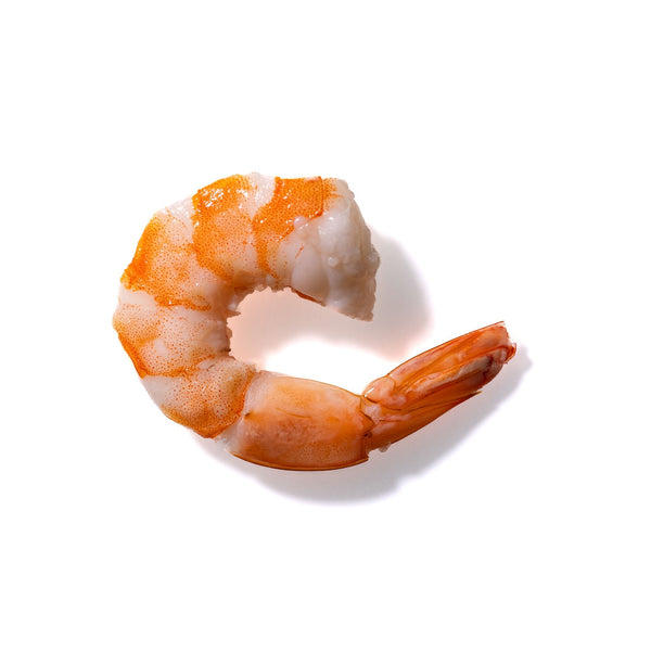 Shrimp No. 114