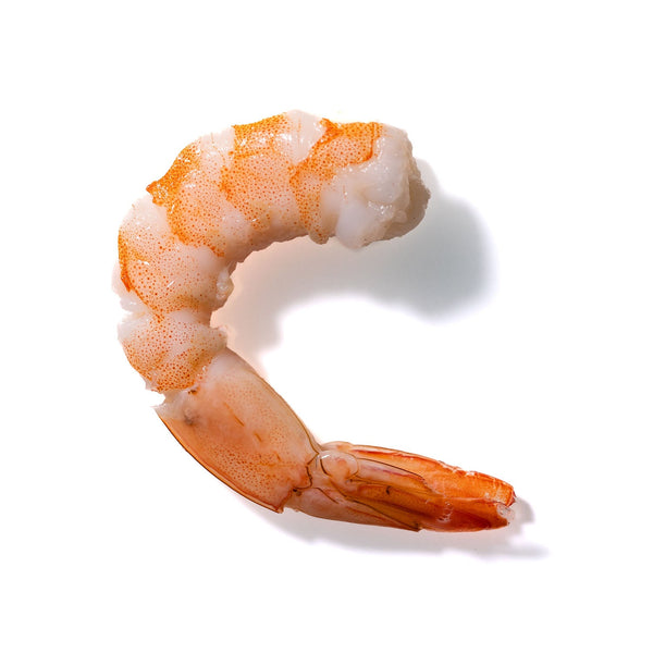 Shrimp No. 116