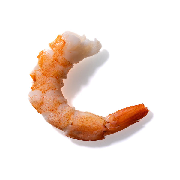 Shrimp No. 117