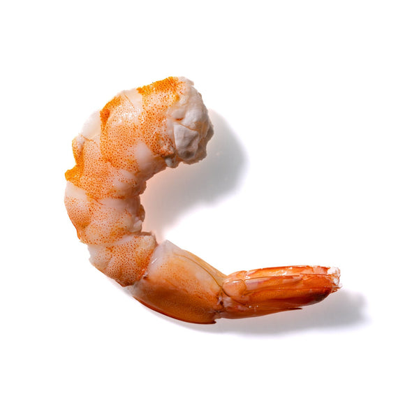 Shrimp No. 120