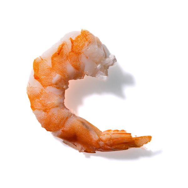 Shrimp No. 121