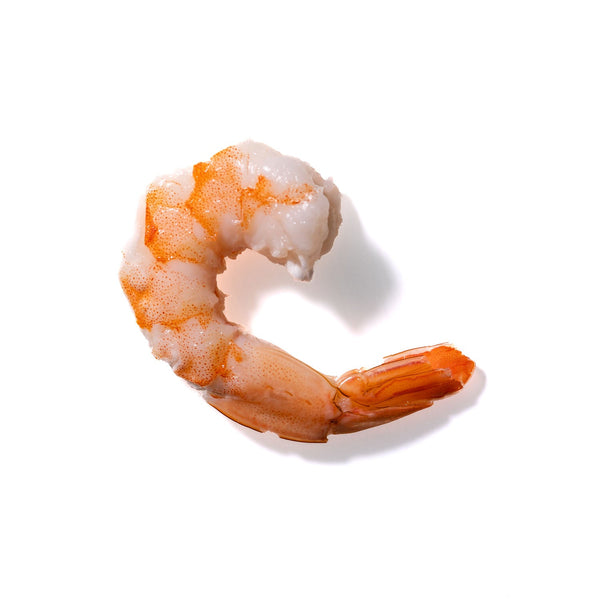 Shrimp No. 124