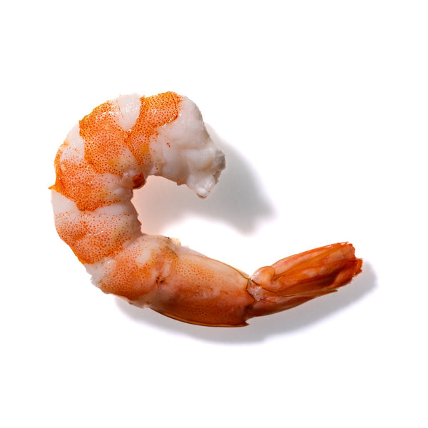 Shrimp No. 125