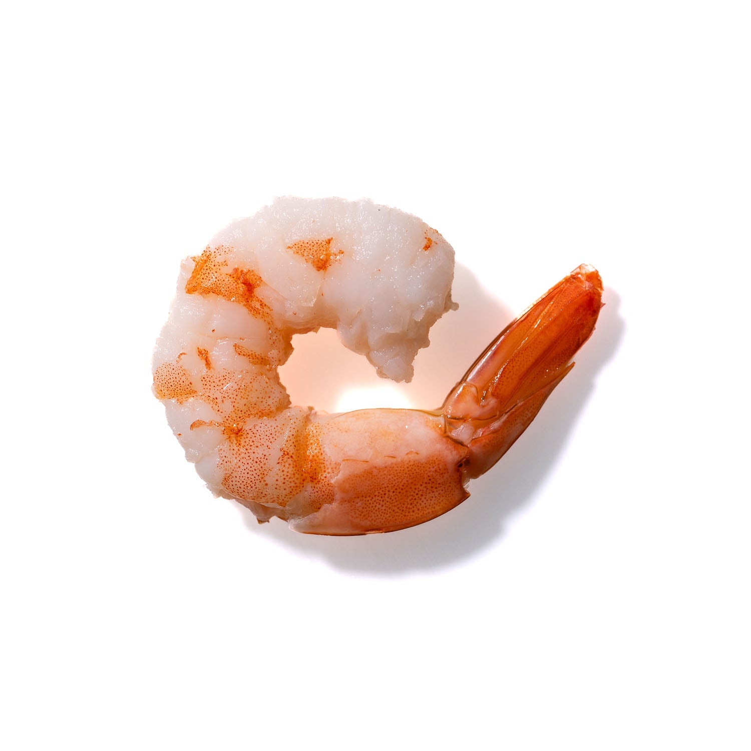 Shrimp No. 126