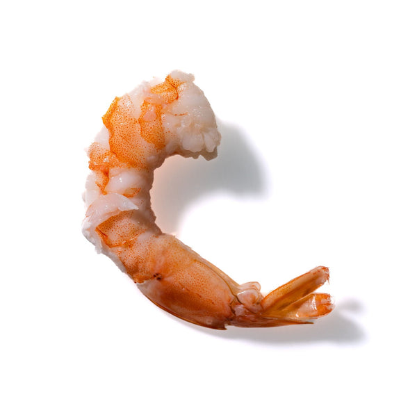 Shrimp No. 127