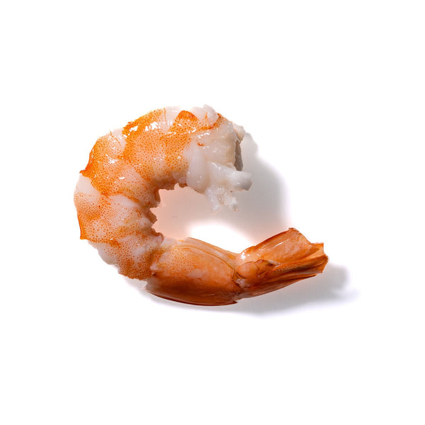 Shrimp No. 129