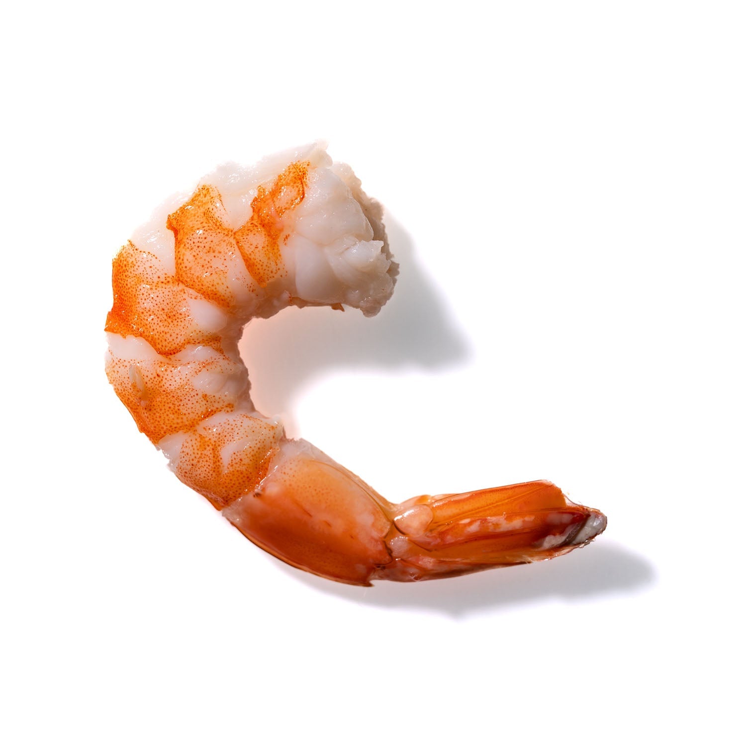 Shrimp No. 133