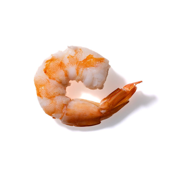 Shrimp No. 135