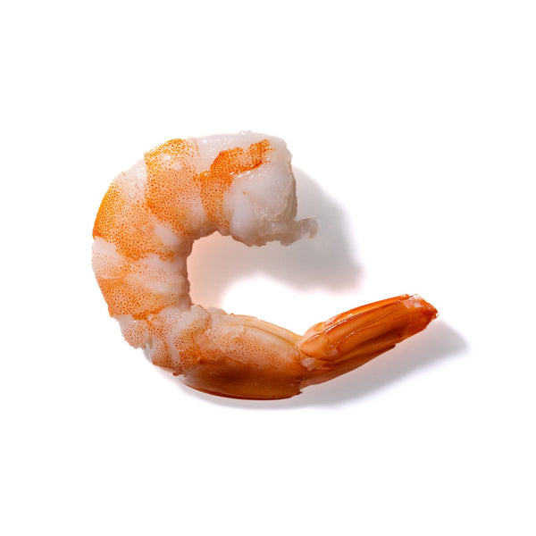 Shrimp No. 136