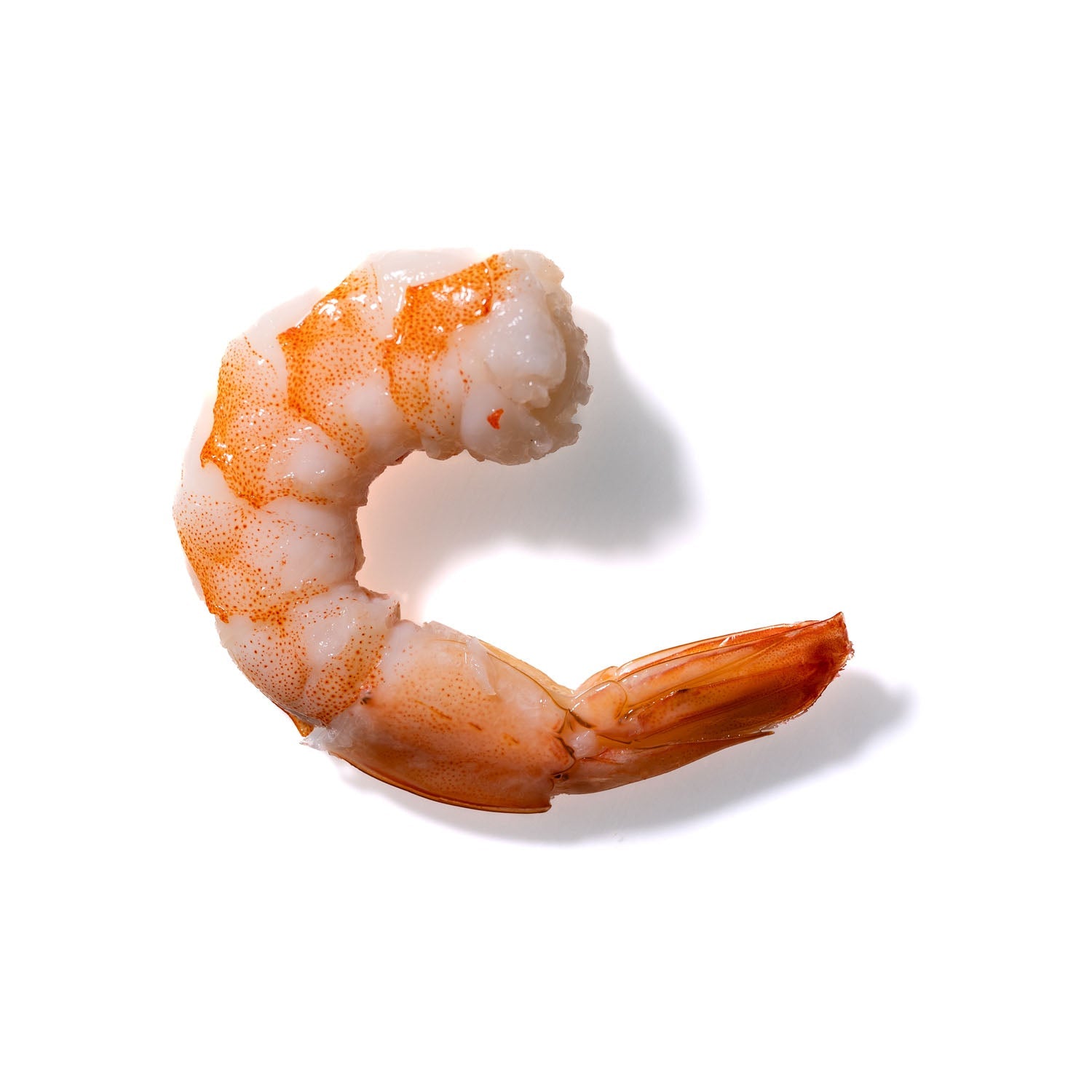 Shrimp No. 139