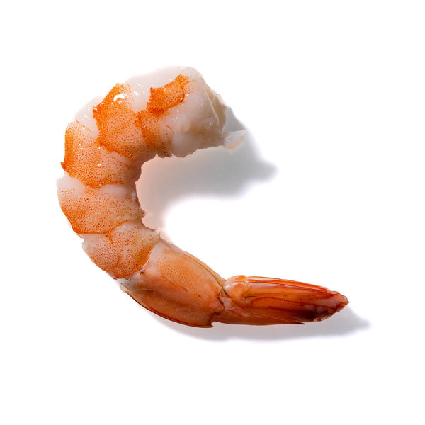 Shrimp No. 141