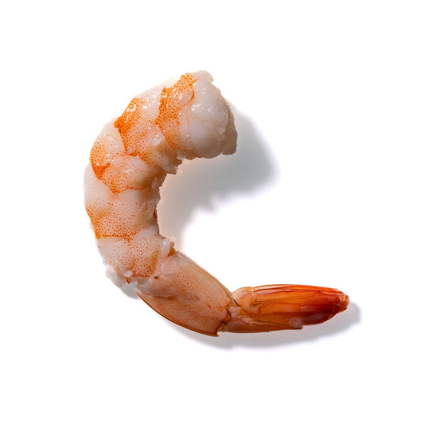 Shrimp No. 144