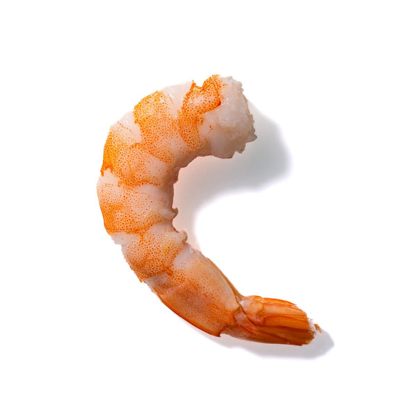 Shrimp No. 146