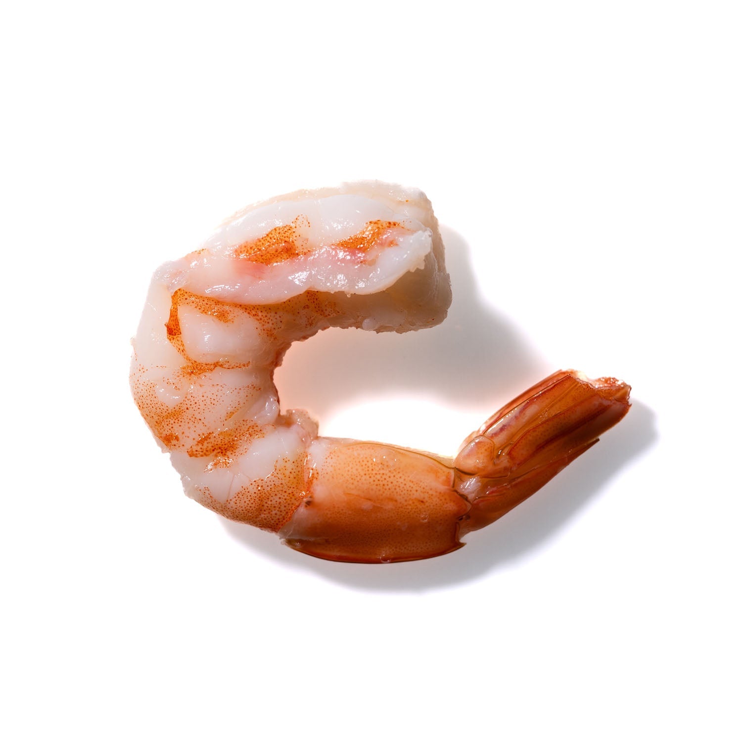 Shrimp No. 149