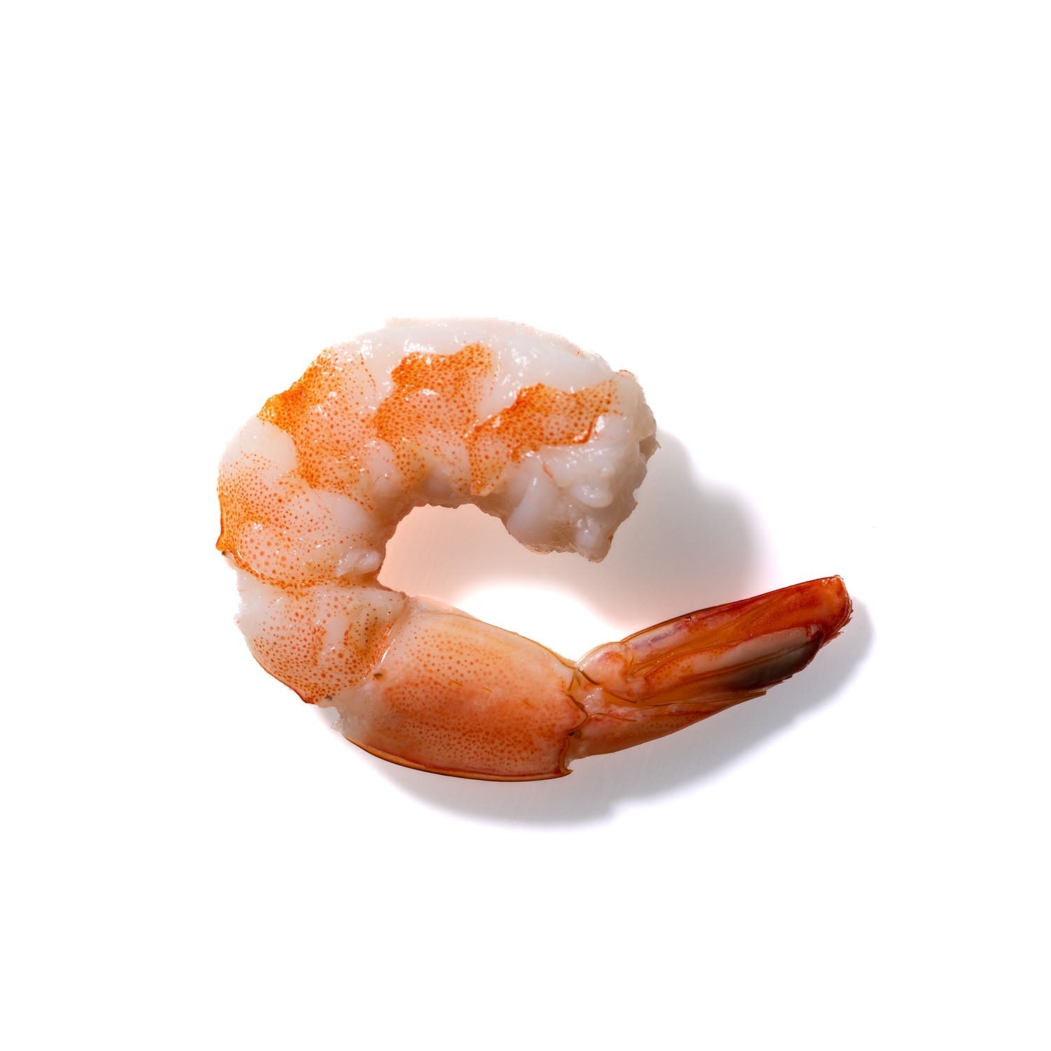 Shrimp No. 150