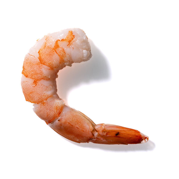 Shrimp No. 151