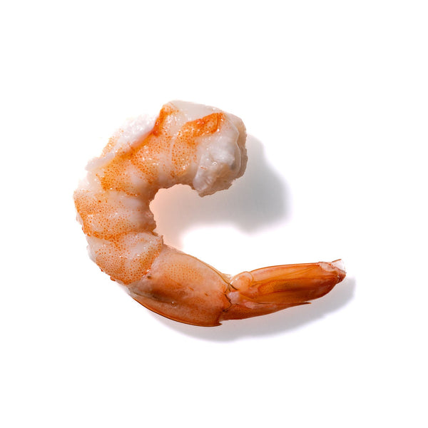 Shrimp No. 153