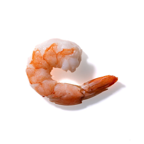 Shrimp No. 154