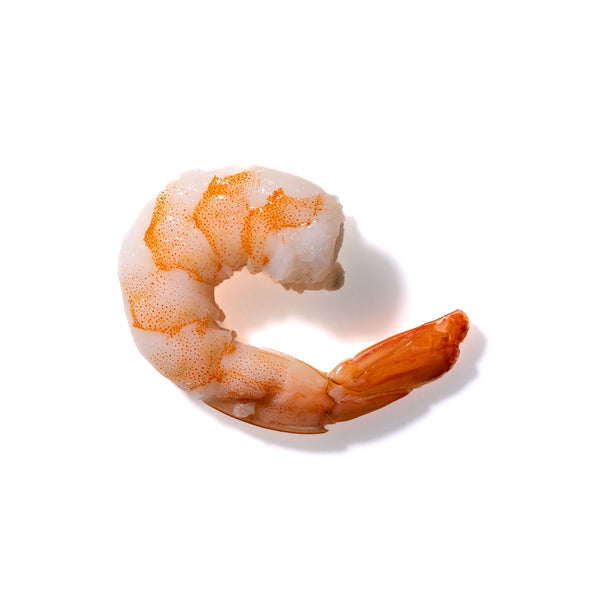 Shrimp No. 156