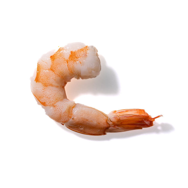 Shrimp No. 158