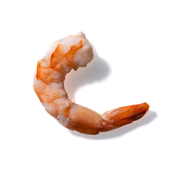 Shrimp No. 159