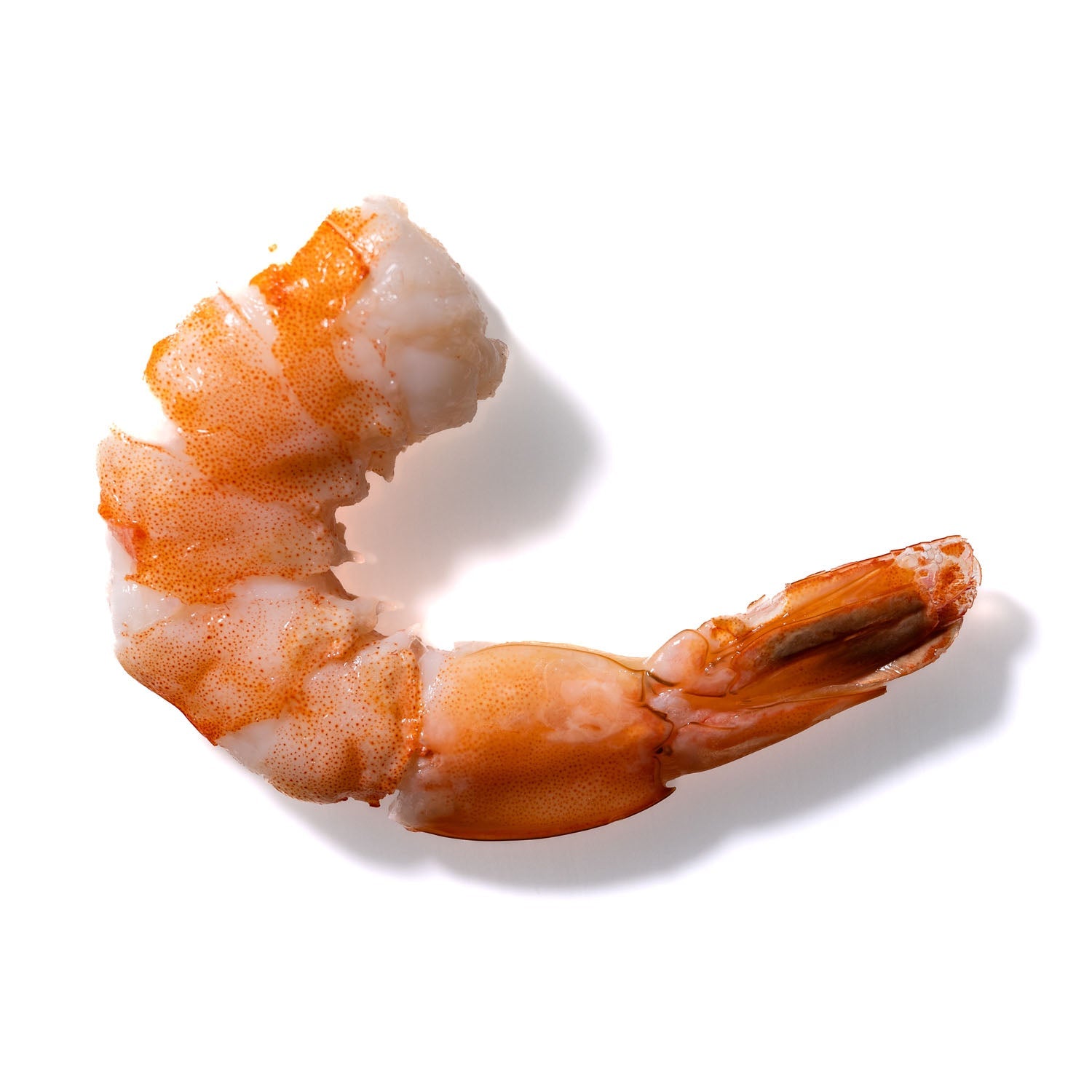 Shrimp No. 160