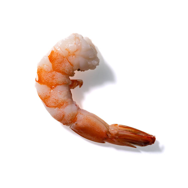 Shrimp No. 161